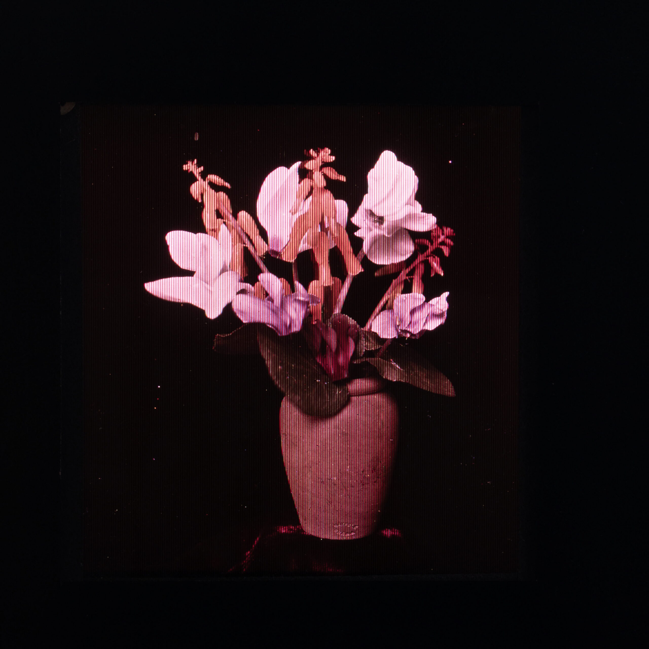 Ciarán Walsh and Patrick Cunningham digitised this photograph from Adrian Dixon's collection of John Joly material. The slide dates from around 1896 and is intended to demonstrate a viewing system for Joly's colour system. This involved placing a screen over an unexposed glass plate negative, exposing the negative, making a positive copy and placing a viewing screen over it. The screen was had very fine lines of coloured ink approximating to red, green and blue. These filtered the colour showing through the positive image and it registered as a colour photograph. The lines are visible in the finished photograph. The original is 3¼ × 5½in / 83 × 140mm